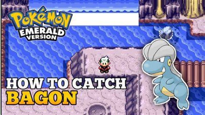 Pokemon go how to find bagon
