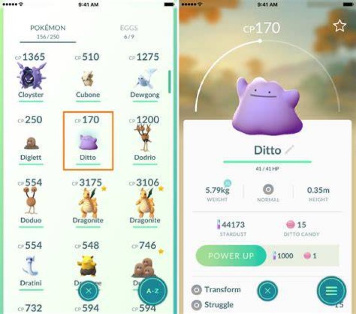 Pokemon go which pokemon can be ditto