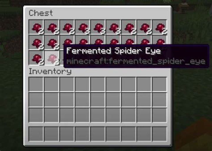 What are spider eyes used for in minecraft