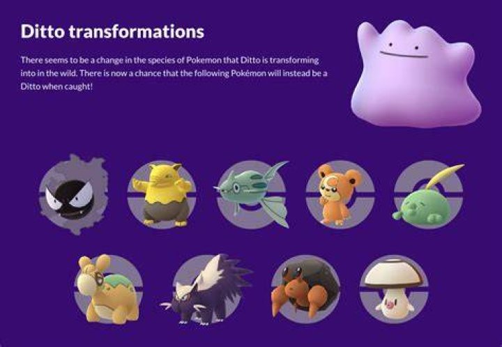 What can ditto be pokemon go