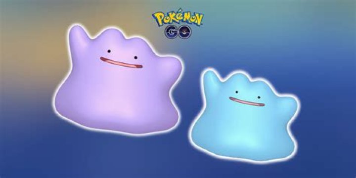 What can ditto disguise as in pokemon go