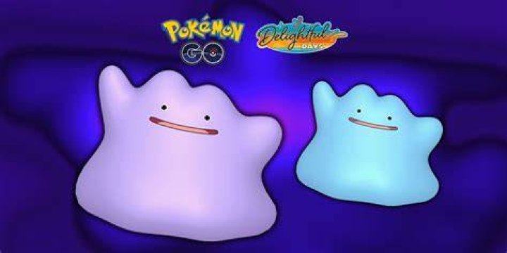 What can dittos be in pokemon go