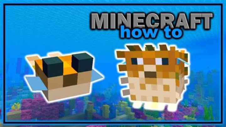 What can i do with pufferfish in minecraft
