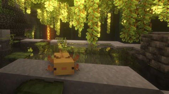 What can you do with axolotls in minecraft