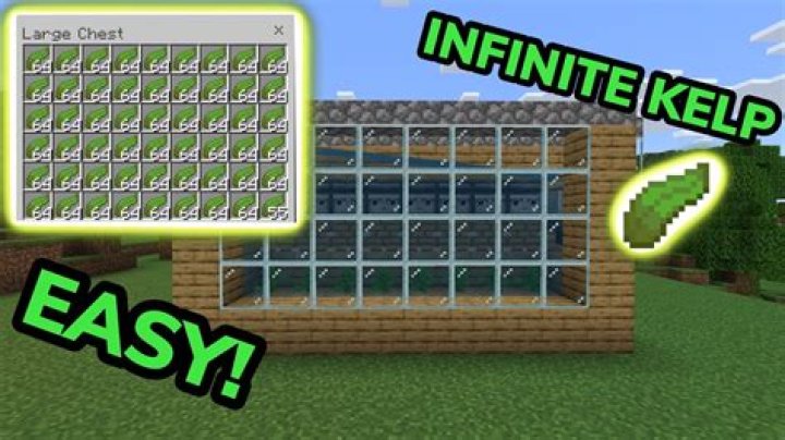 What can you do with kelp in minecraft