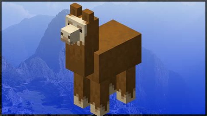 What can you do with llamas in minecraft