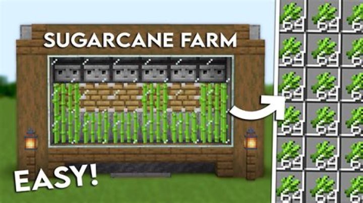 What can you do with sugarcane in minecraft