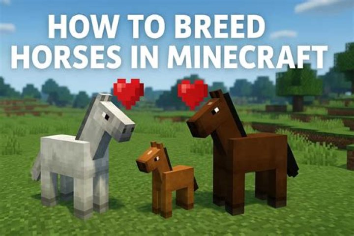 What can you feed a horse in minecraft