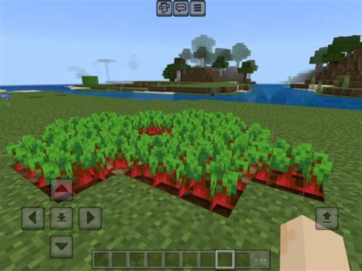 What can you make with beetroot in minecraft