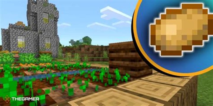 What can you make with potatoes in minecraft