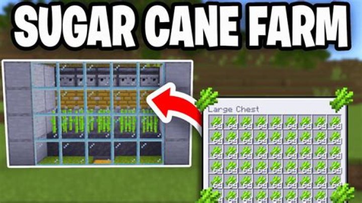 What can you make with sugarcane in minecraft