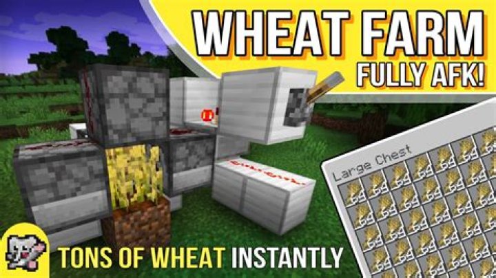 What can you make with wheat in minecraft