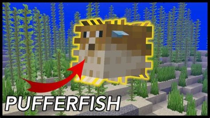 What can you use pufferfish for in minecraft