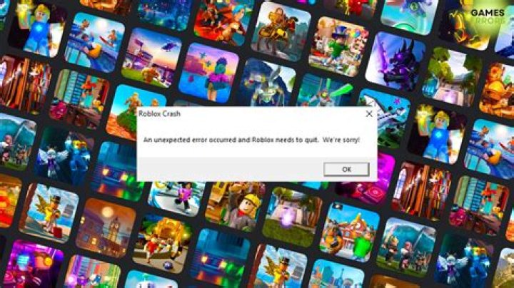 What crashed roblox