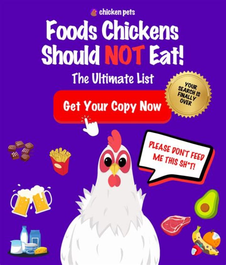 What do chickens like to eat in minecraft
