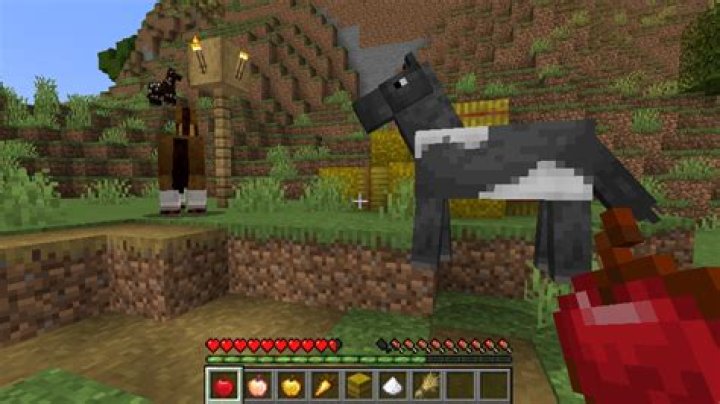 What do horses eat in minecraft xbox 360