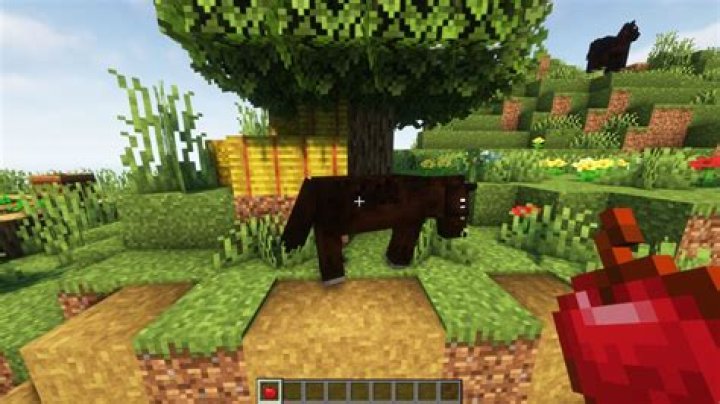 What do horses like to eat in minecraft