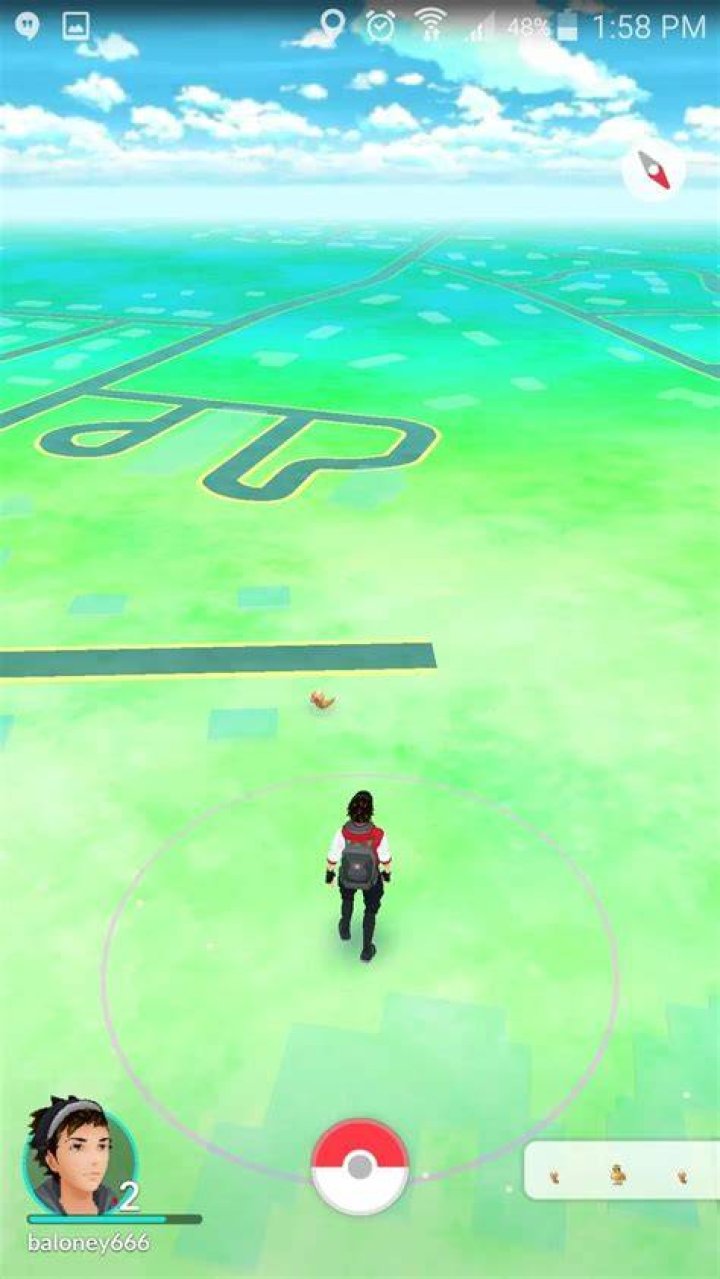 What do leaves mean pokemon go