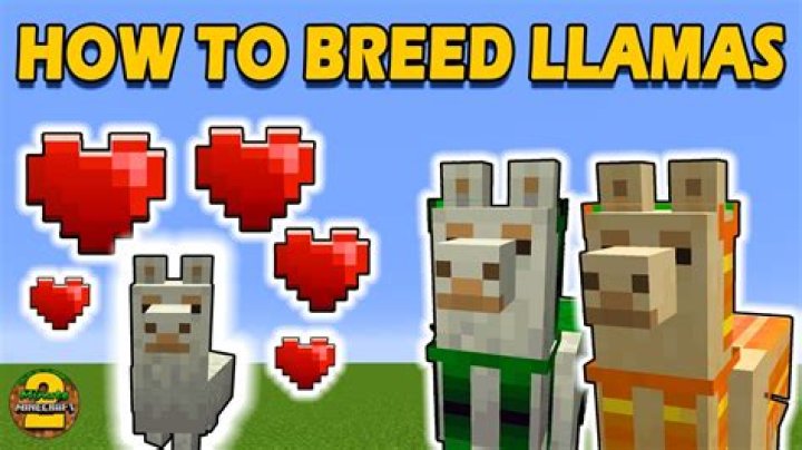 What do llamas eat in minecraft to breed