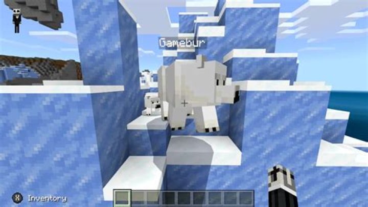 What do polar bears eat in minecraft pc