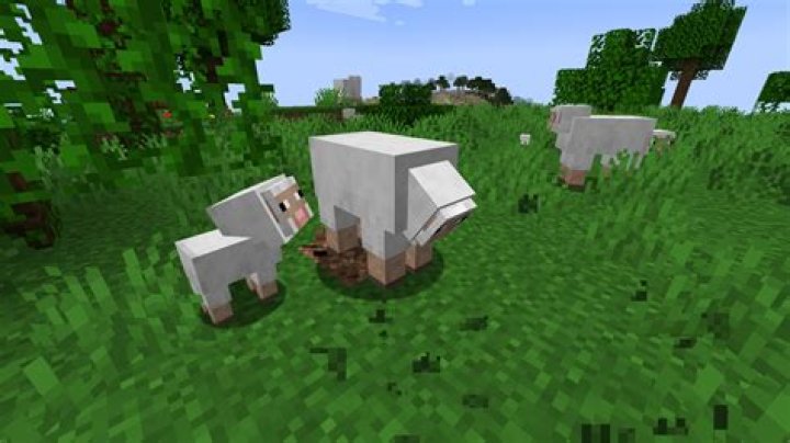 What do sheep like to eat in minecraft