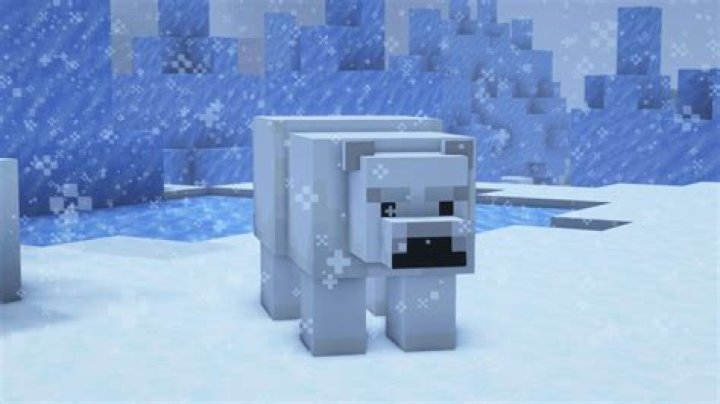 What do the polar bears eat in minecraft