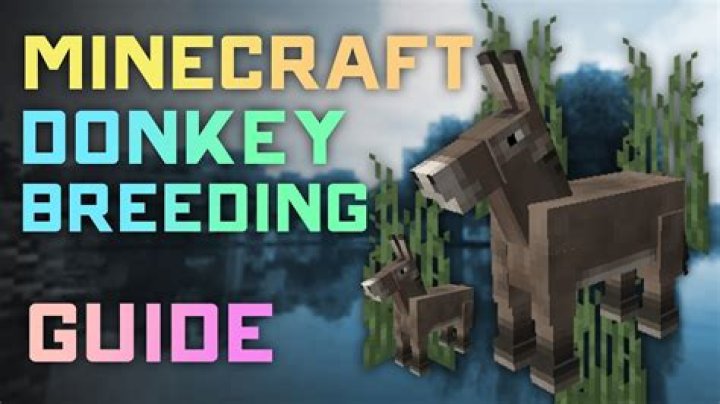 What do you feed a donkey in minecraft