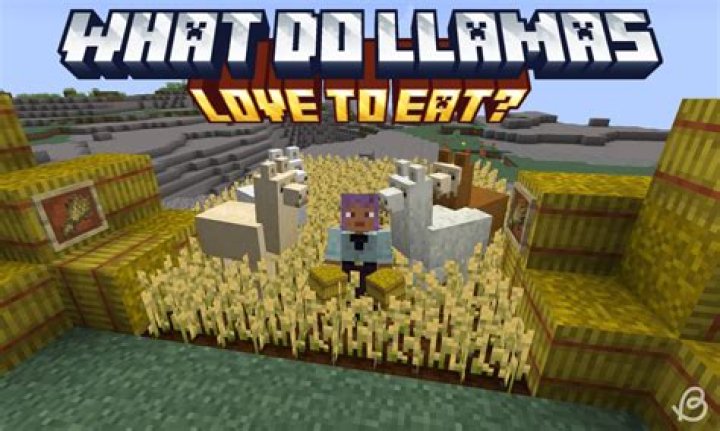 What do you feed a llama in minecraft