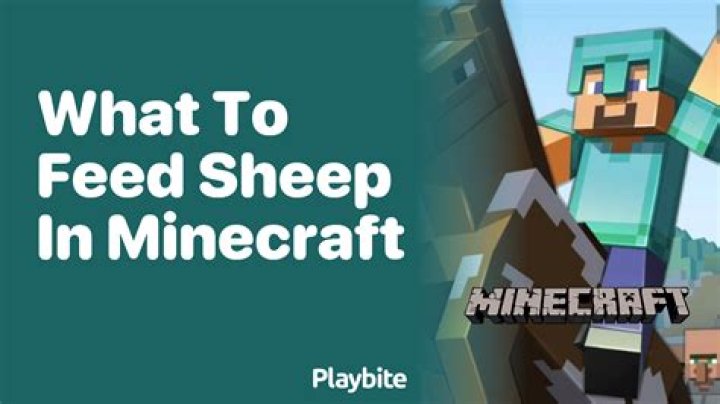 What do you feed a sheep in minecraft