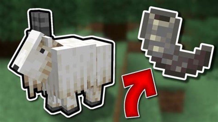 What does a goat horn do in minecraft
