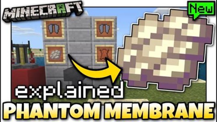 What does a phantom membrane do in minecraft