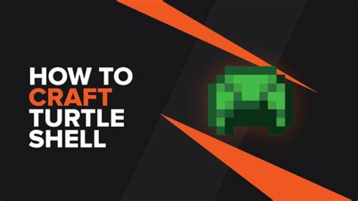 What does a turtle shell do in minecraft