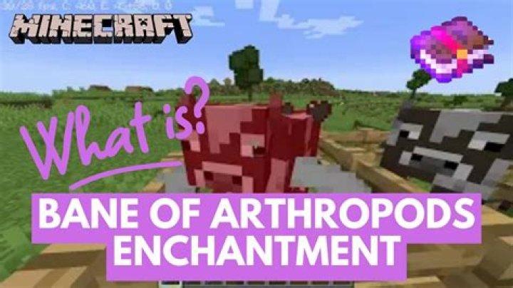 What does ban of arthropods do in minecraft