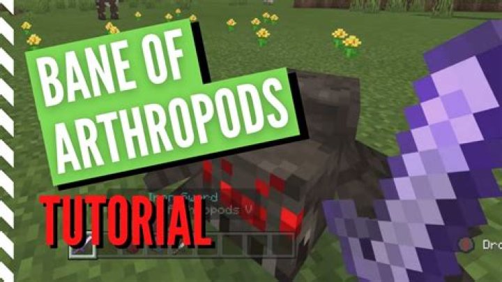 What does bane of arthropods do in minecraft