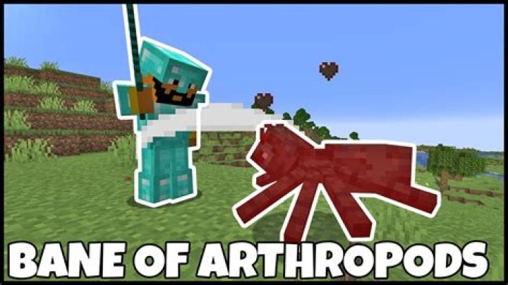 What does bane of arthropods in minecraft do