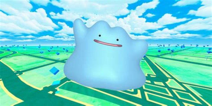 What does ditto look like in pokemon go