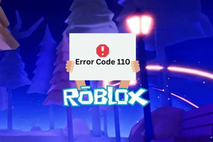 What does error code 110 mean on roblox