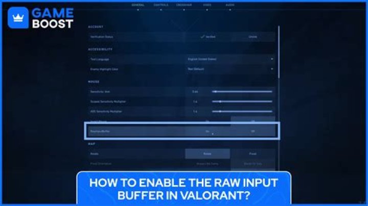 What does raw input buffer do in valorant