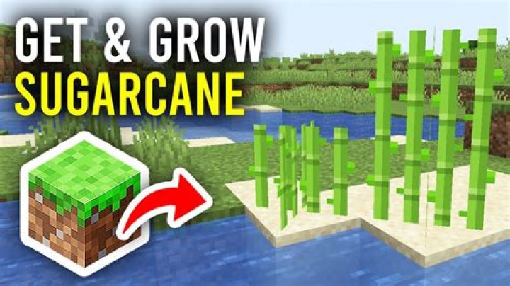 What does sugarcane grow faster on in minecraft