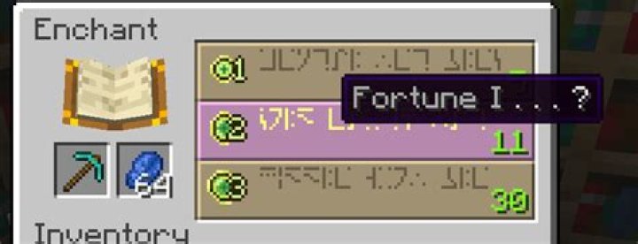 What does the fortune enchantment do in minecraft