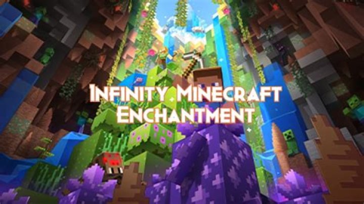 What does the infinity enchantment do in minecraft