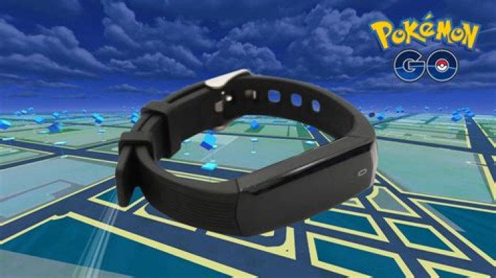 What does the pokemon go watch do