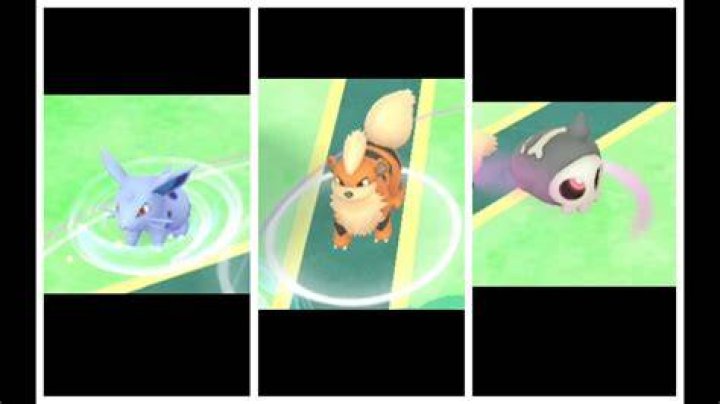 What does the ring in pokemon go mean