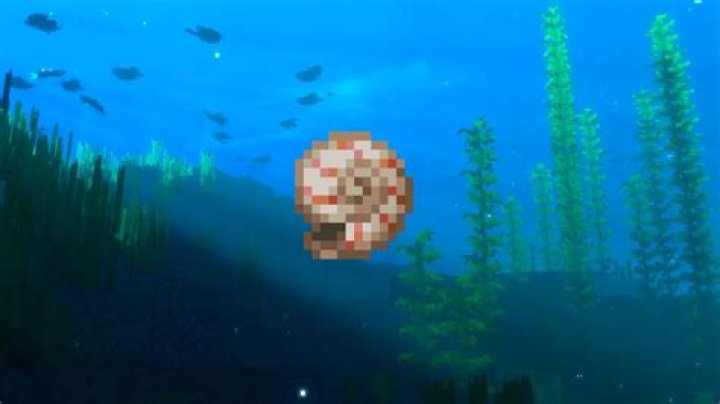 What does the turtle shell do in minecraft