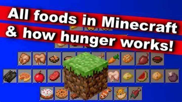 What food gives the most hunger in minecraft