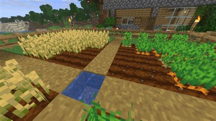 What food has the best saturation in minecraft
