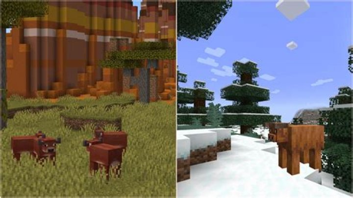 What if we were both cows in minecraft