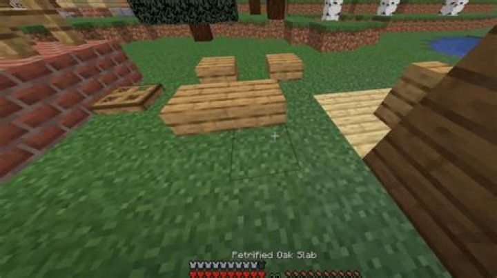 What is a petrified oak slab in minecraft
