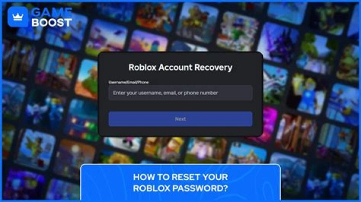 What is dantdm password for roblox