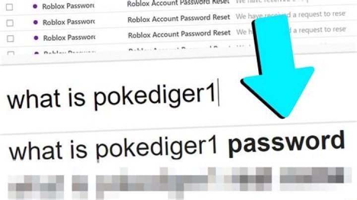 What is pokediger1 password for roblox